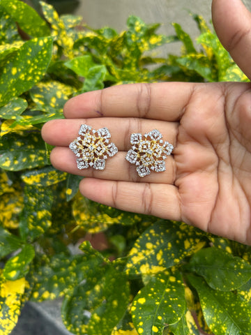 Beautiful GJ polish studs with pushback
