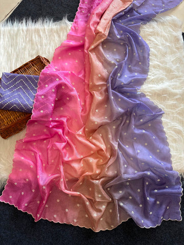 Elegant doriya saree