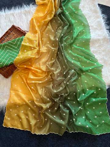 Elegant doriya saree