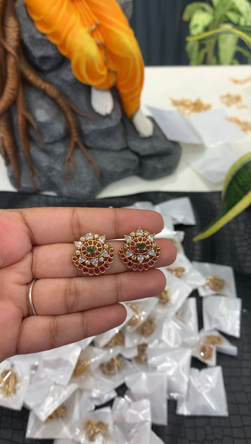 Beautiful pota stone studs with pushback
